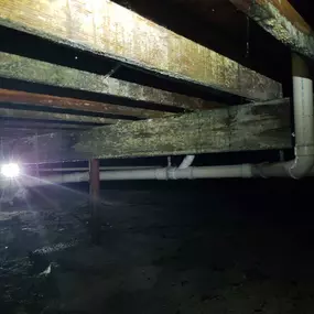 Bild von Restoration 1 Inland NW - Central WA