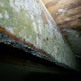 Bild von Restoration 1 Inland NW - Central WA