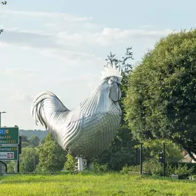 Bild von Reaveley Cooper Ltd