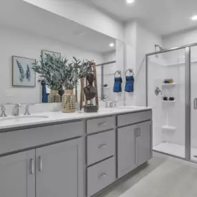 Spa inspired primary bath at Trestle Ridge at Brunswick Forest