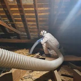 Bild von True North Restoration - Corridor