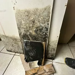 Bild von True North Restoration - Corridor