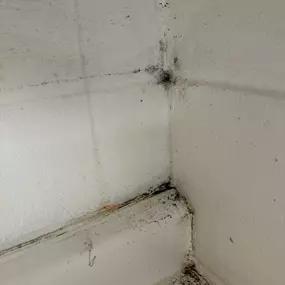 Bild von True North Restoration - Corridor