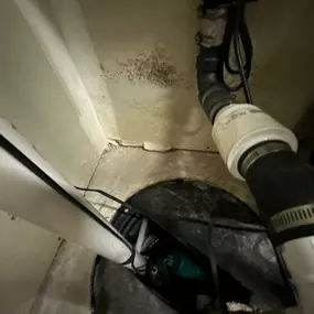 Bild von True North Restoration - Corridor