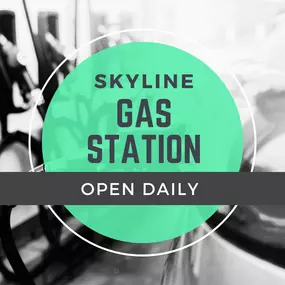 Bild von Skyline Gas Station