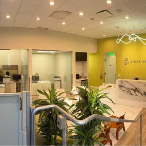Plaza Dental Office