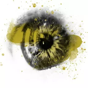Bild von Wette & Schnell GmbH IGA OPTIC + Hörakustik