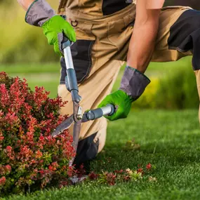 Bild von Helping Green - Gartenpflege & Landschaftsbau