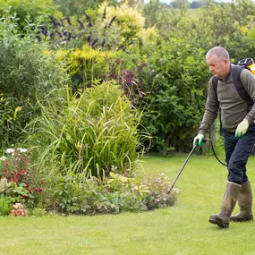 Bild von Helping Green - Gartenpflege & Landschaftsbau