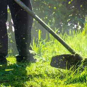 Bild von Helping Green - Gartenpflege & Landschaftsbau