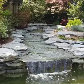 Bild von Waterfalls Naturally Ltd