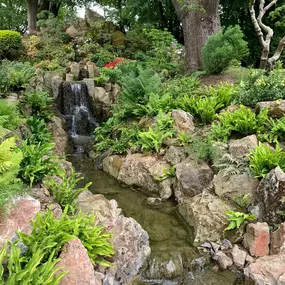 Bild von Waterfalls Naturally Ltd
