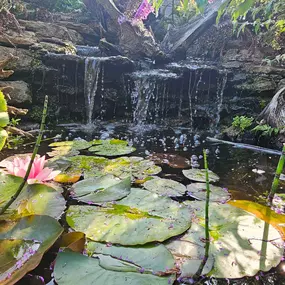 Bild von Waterfalls Naturally Ltd