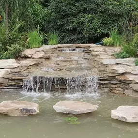 Bild von Waterfalls Naturally Ltd