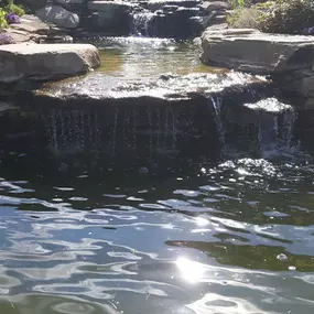 Bild von Waterfalls Naturally Ltd