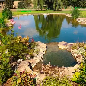 Bild von Waterfalls Naturally Ltd