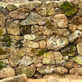 Bild von Waterfalls Naturally Ltd