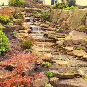 Bild von Waterfalls Naturally Ltd