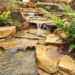 Bild von Waterfalls Naturally Ltd