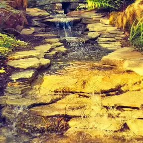 Bild von Waterfalls Naturally Ltd