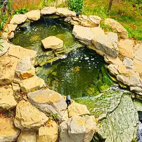 Bild von Waterfalls Naturally Ltd