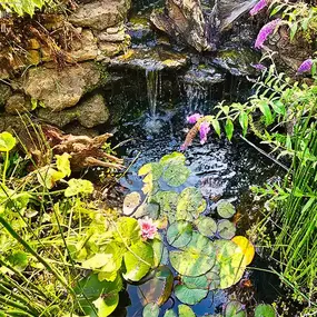 Bild von Waterfalls Naturally Ltd