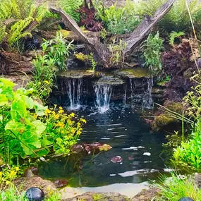 Bild von Waterfalls Naturally Ltd