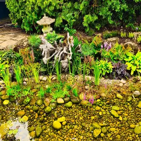 Bild von Waterfalls Naturally Ltd