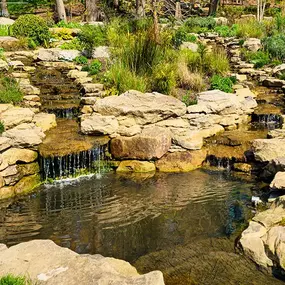 Bild von Waterfalls Naturally Ltd