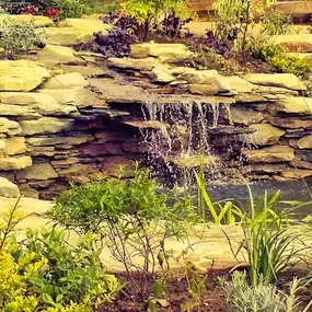 Bild von Waterfalls Naturally Ltd