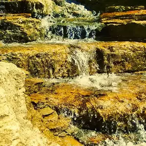 Bild von Waterfalls Naturally Ltd