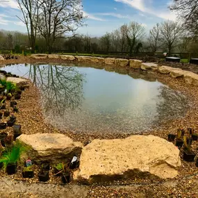 Bild von Waterfalls Naturally Ltd