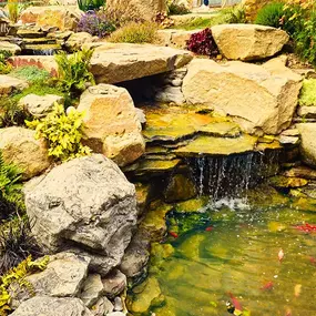 Bild von Waterfalls Naturally Ltd