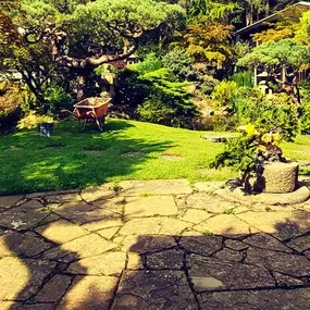 Bild von Waterfalls Naturally Ltd