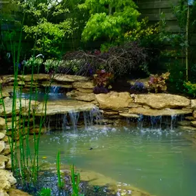 Bild von Waterfalls Naturally Ltd