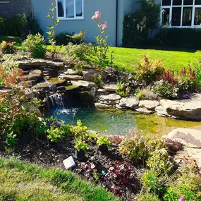 Bild von Waterfalls Naturally Ltd