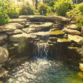 Bild von Waterfalls Naturally Ltd