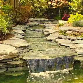 Bild von Waterfalls Naturally Ltd