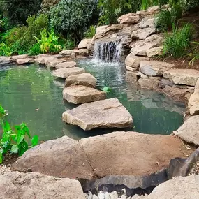 Bild von Waterfalls Naturally Ltd