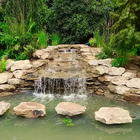 Bild von Waterfalls Naturally Ltd