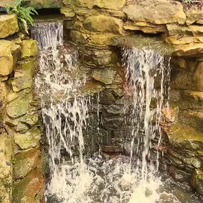 Bild von Waterfalls Naturally Ltd