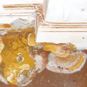 Bild von Riviera Damp Specialist