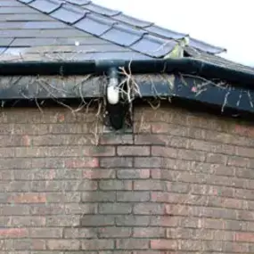 Bild von Riviera Damp Specialist