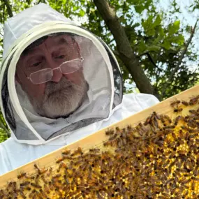 Bild von The Bee Rookie Ltd.