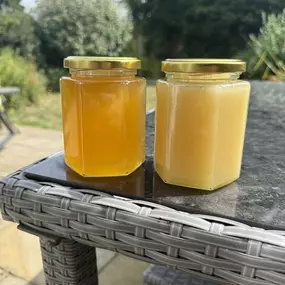 Bild von The Bee Rookie Ltd.