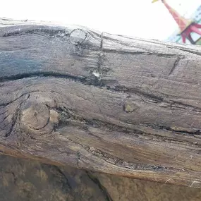 Bild von Global Construction Ltd