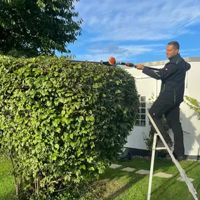 Bild von Objektservice B.Vila