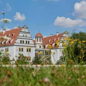 Bild von SSH Zwickau - Seniorenwohnanlage Schloss Osterstein