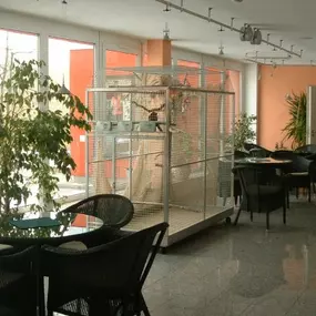 Bild von SSH Zwickau - Seniorenpflegeheim Haus Planitz