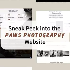 Bild von Devtrios | Web & App Development